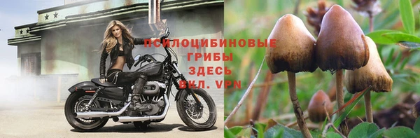 дживик Алексин