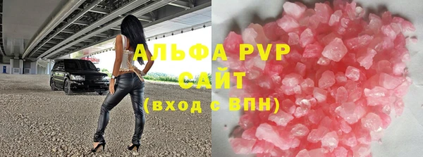 сатива Ростов