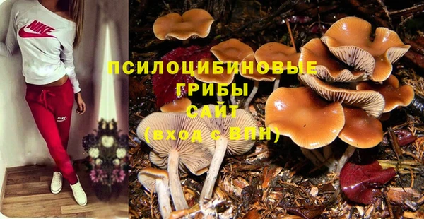 дживик Алексин