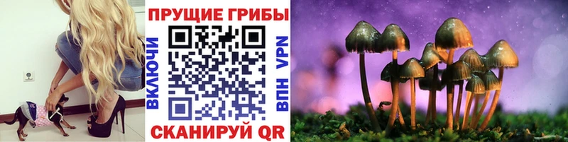 Галлюциногенные грибы ЛСД  продажа наркотиков  Куртамыш 